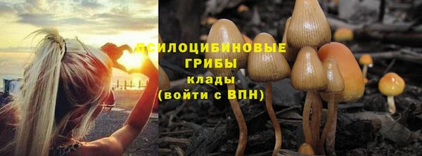 apvp Арсеньев