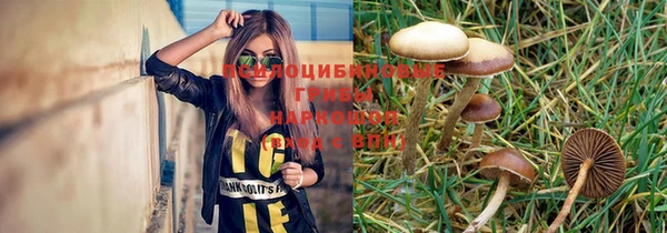 спиды Аркадак
