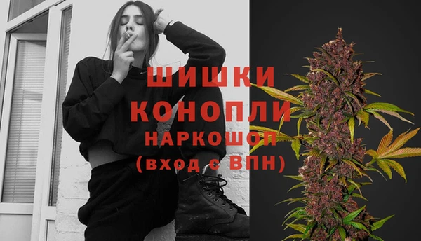 apvp Арсеньев