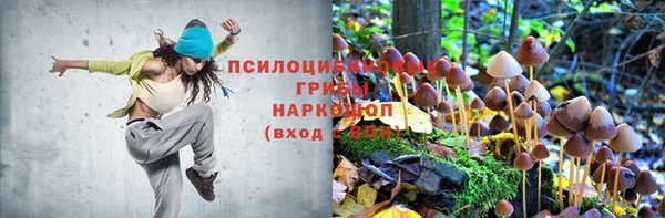 apvp Арсеньев
