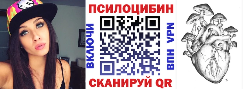 Купить  Кондопога  Псилоцибиновые грибы Cubensis 